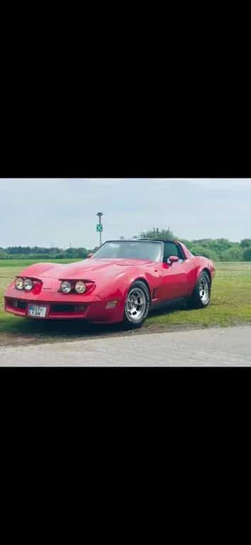 Corvette C3 06/1981-photo-8