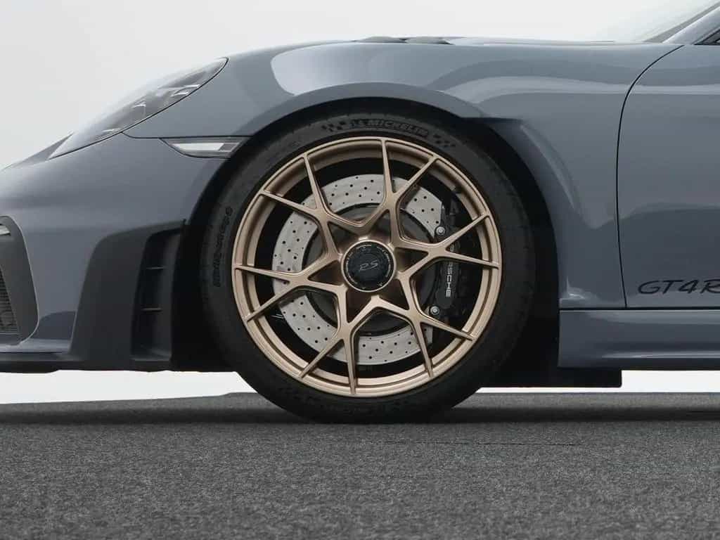 Porsche 718 Cayman GT4 RS 09/2022-photo-10