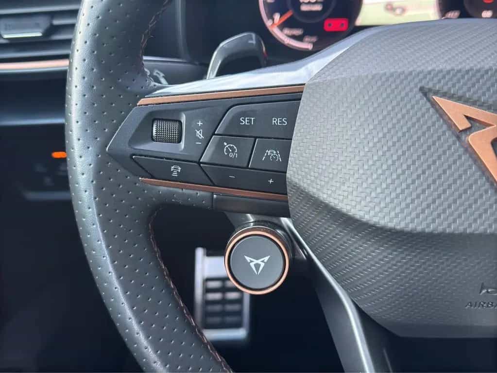 Cupra Formentor 2.0 TSI DSG 4Drive VZ LED NAVI AHK SID 03/2022-photo-17