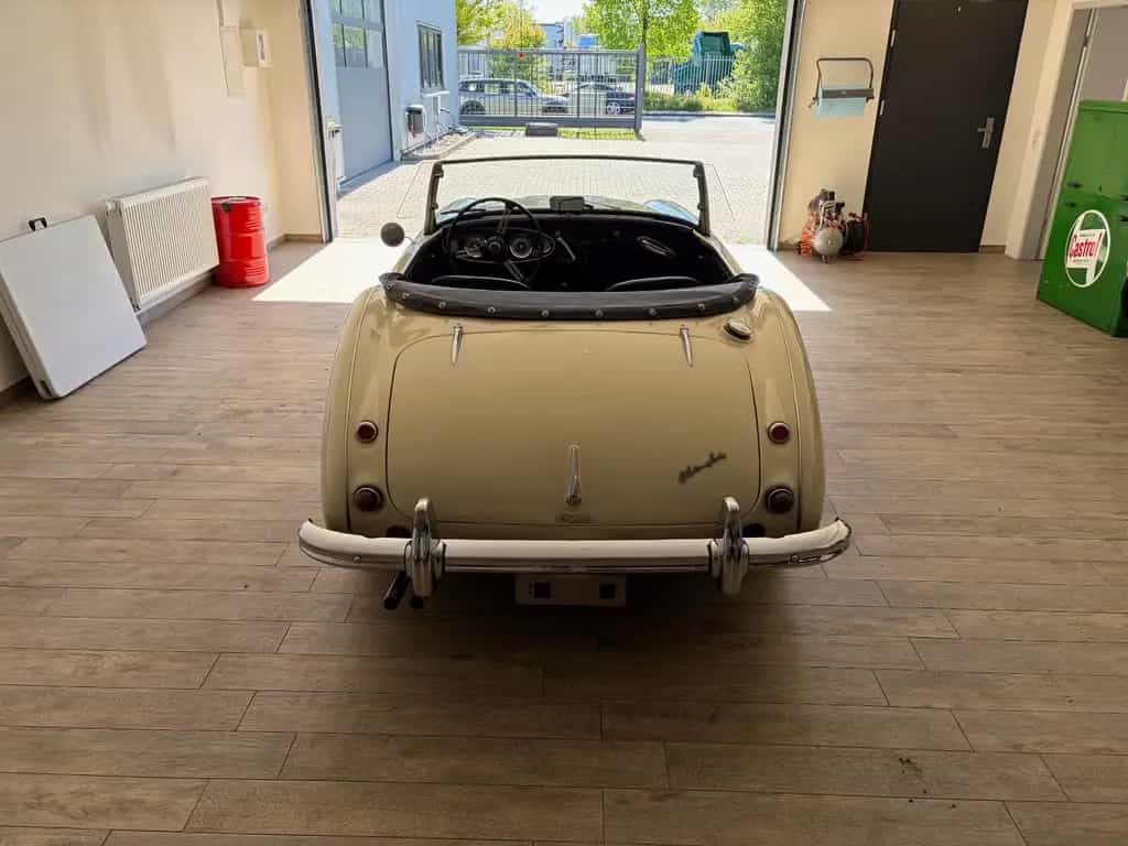 Austin Healey Other 100 / 6 07/1958-photo-5