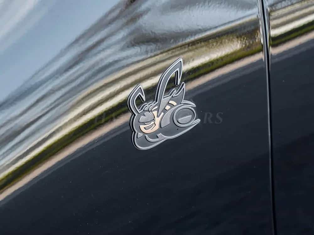 Dodge Charger SCAT PACK € 60790 +3.0L SIXPACK HO null-photo-29
