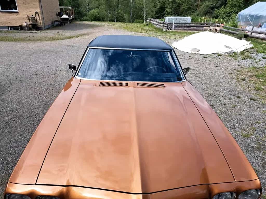 Pontiac LeMans Luxury 6.6 01/1972-photo-10