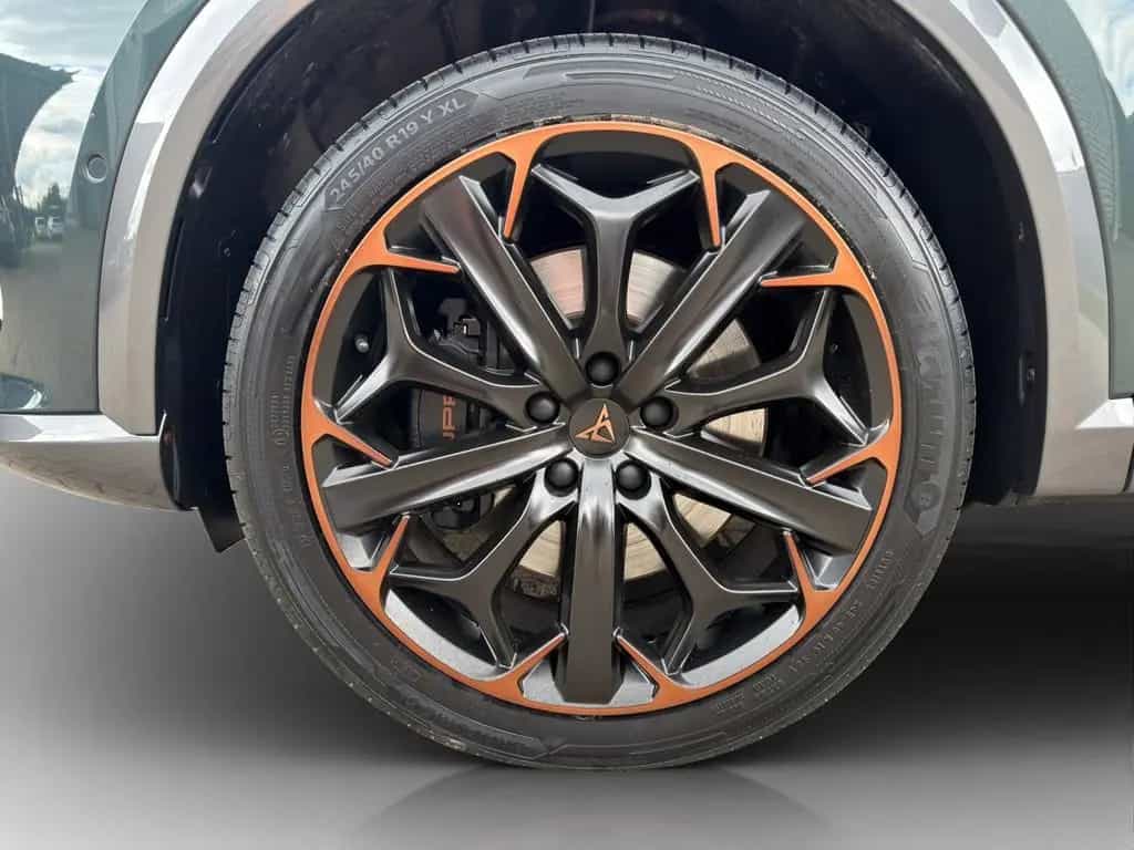 Cupra Formentor 2.0 TSI DSG 4Drive VZ COPPER AHK*BEATS 05/2022-photo-22