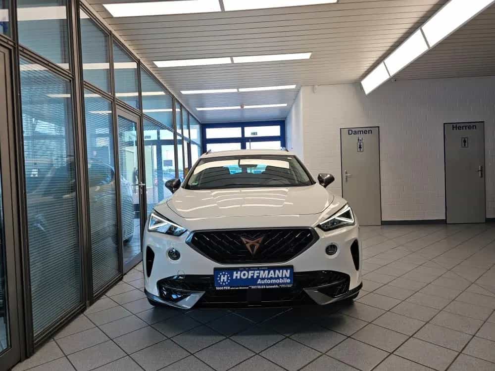 Cupra Formentor Mirror-link,Klimaautomatik,PDC,LED 01/2024-photo-30