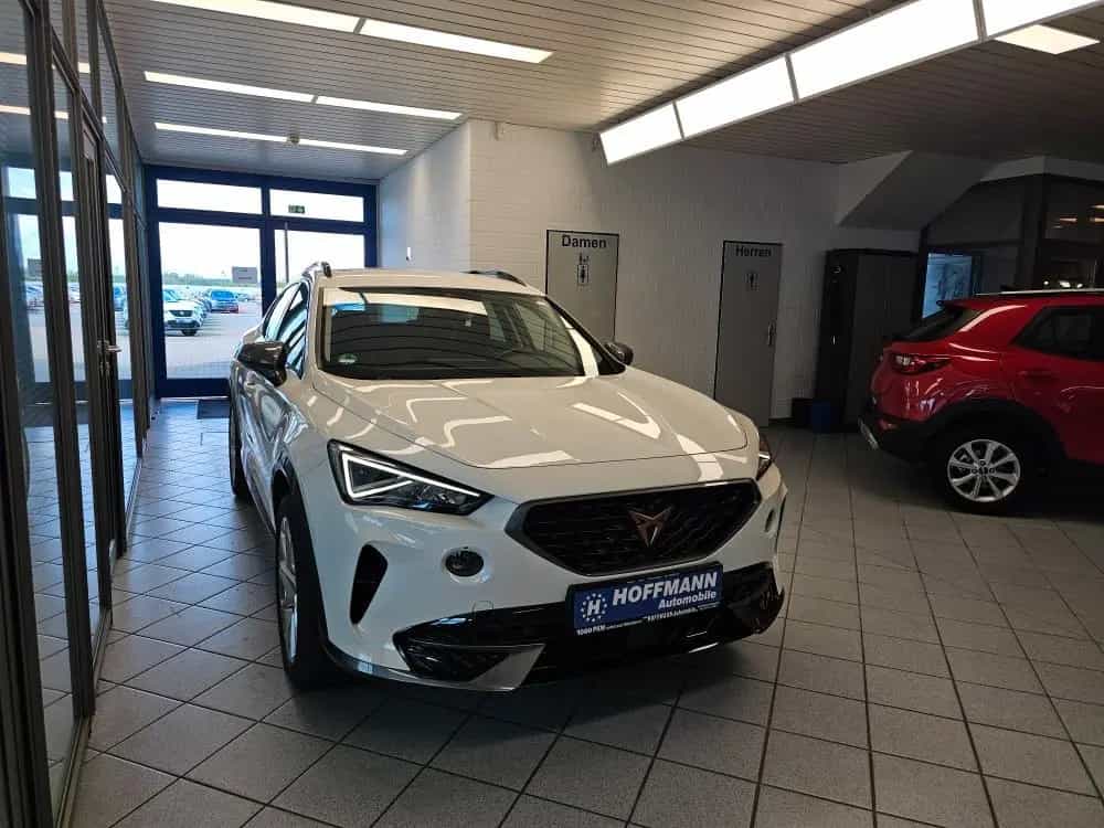 Cupra Formentor Mirror-link,Klimaautomatik,PDC,LED 01/2024-photo-31