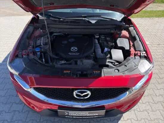 Mazda CX-5 2,2l 150PS Automatik 6-Gang 2WD Kangai LHZ/ 12/2019-photo-14