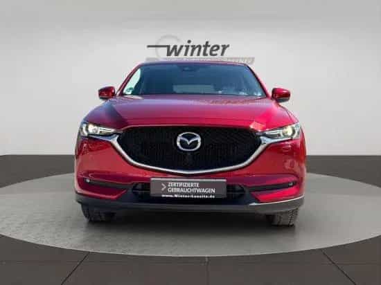 Mazda CX-5 2,2l 150PS Automatik 6-Gang 2WD Kangai LHZ/ 12/2019-photo-15