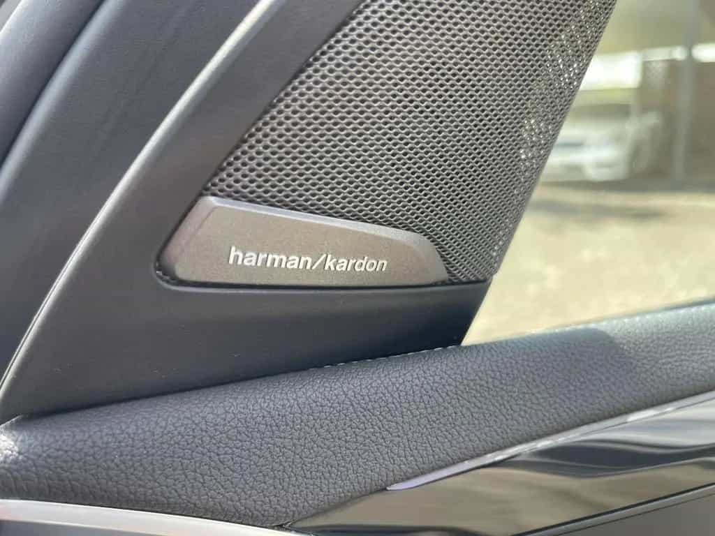 ALPINA XD3 Plus,360°,H-Kardon,22",HuD 02/2020-photo-20