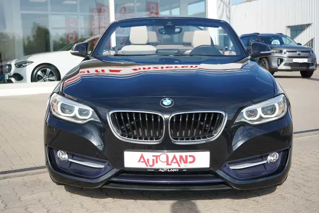 BMW 2 Series 220i Sport Line Tempomat Sitzheizung Leder PDC 11/2016-photo-2