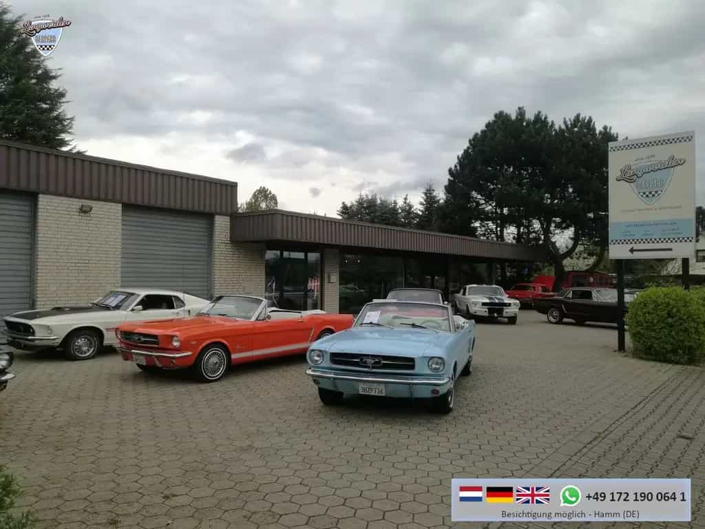 Pontiac GTO Tri Power GTO the real deal Rest Objekt!  VI 06/1966-photo-22