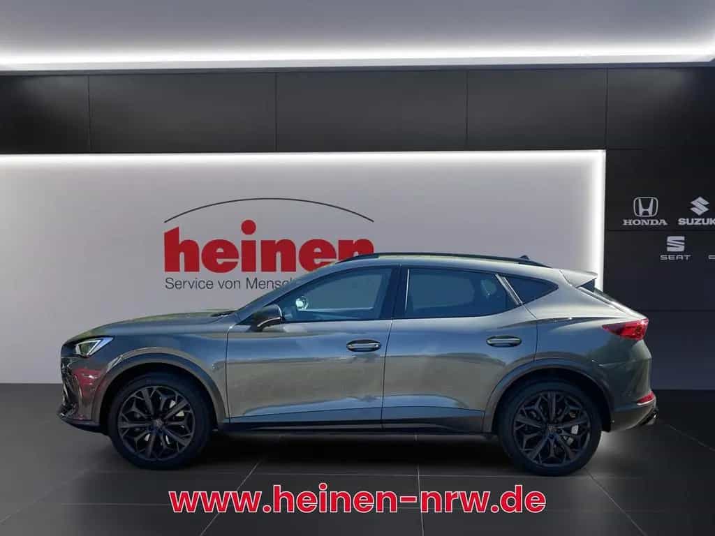 Cupra Formentor 2.0 TSI 4Drive VZ Tribe Edition DSG AH 02/2024-photo-2