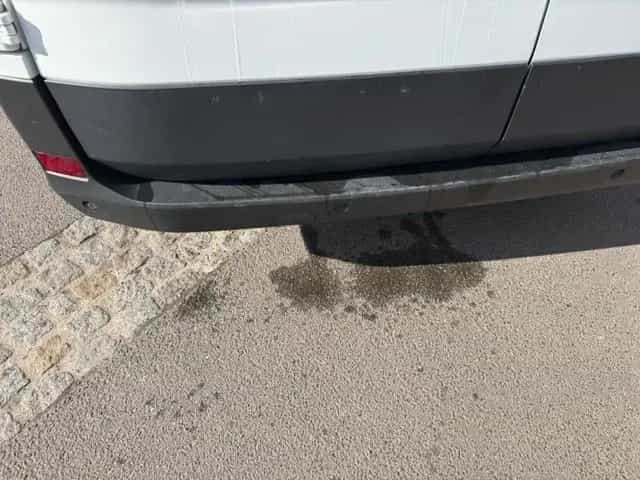 Maxus Deliver 9 Kasten L3H2 12/2024-photo-13