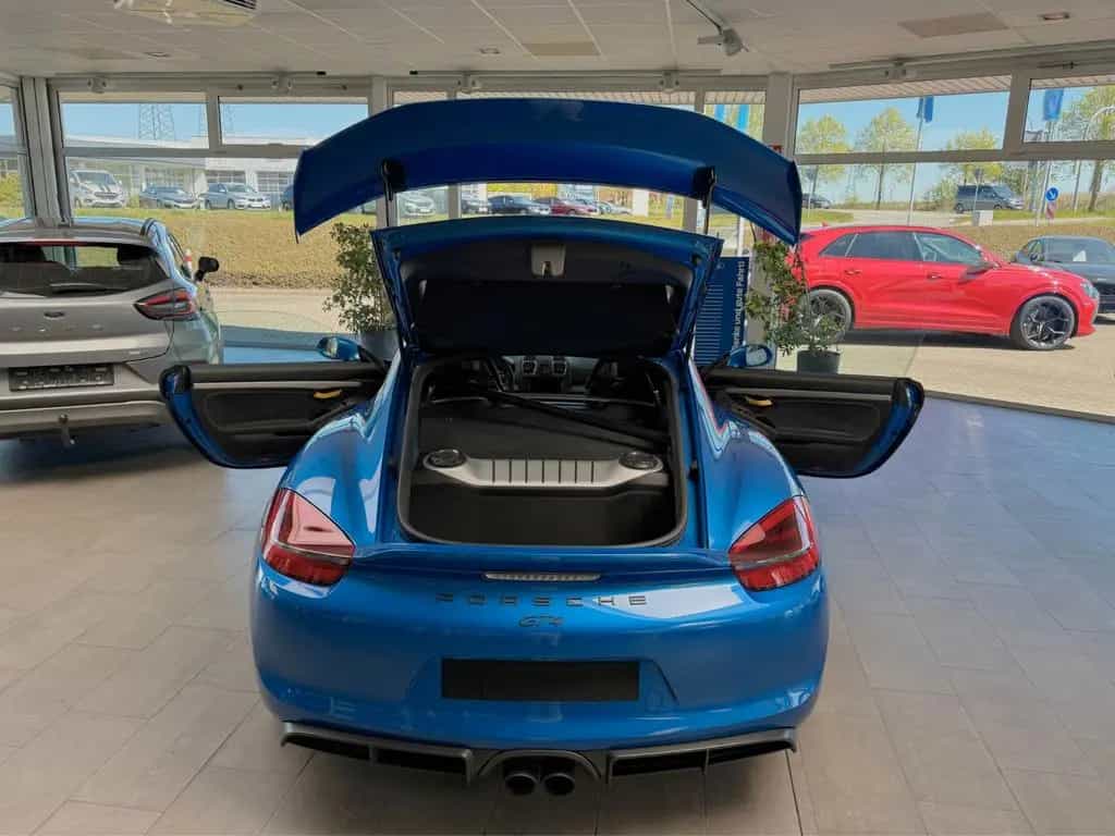 Porsche Cayman GT4 02/2016-photo-11