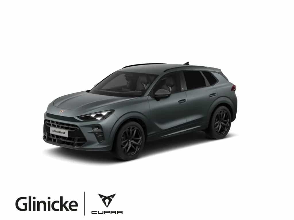 Cupra Terramar America's Cup Limited Edition 2.0 TSI D null-photo-0