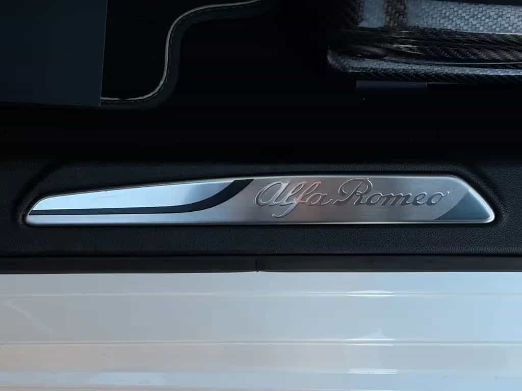 Alfa Romeo Giulia Quadrif 2.9 510 Sparco Carbon Schale H&K 02/2017-photo-11
