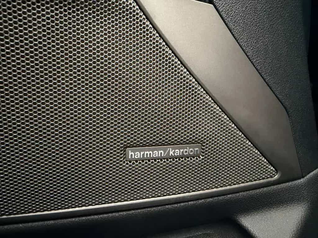 BMW 3 Series 320 ADVANTAGE NAV+LASER+DISPLAY+HARMAN+STANDHEIZ 09/2019-photo-13
