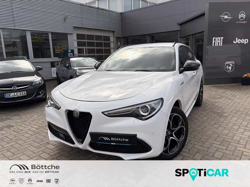 Alfa Romeo Stelvio 2.2 JTDM / Harman-Kardon/ Active Suspens 12/2021-photo-0