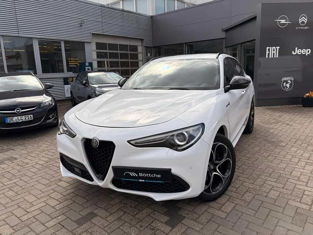 Alfa Romeo Stelvio 2.2 JTDM / Harman-Kardon/ Active Suspens 12/2021-photo-1