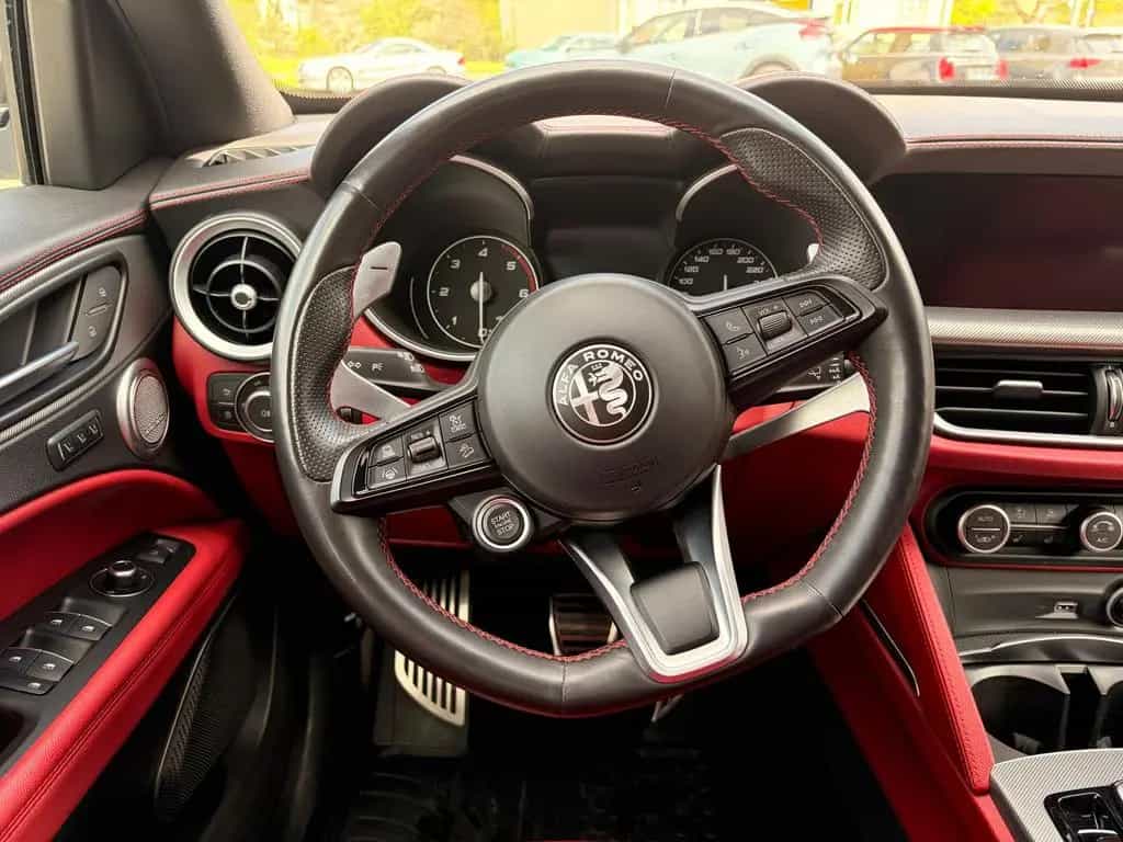 Alfa Romeo Stelvio 2.2 JTDM / Harman-Kardon/ Active Suspens 12/2021-photo-12