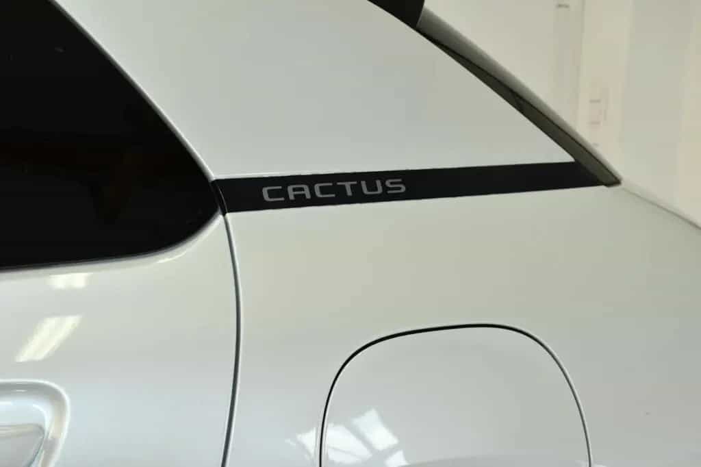 Citroën C4 Cactus Aut. APP*TW*NAV*CAM*SHZ*KEY Klima 04/2018-photo-21