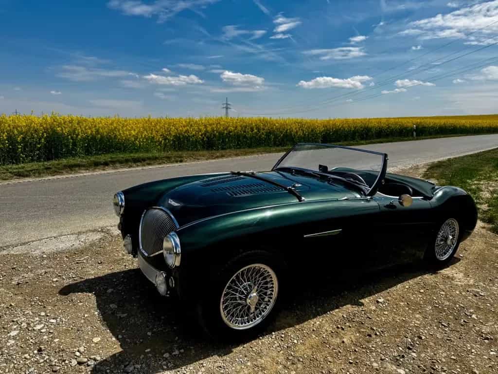 Austin Healey Other 100M - BN1 07/1953-photo-4