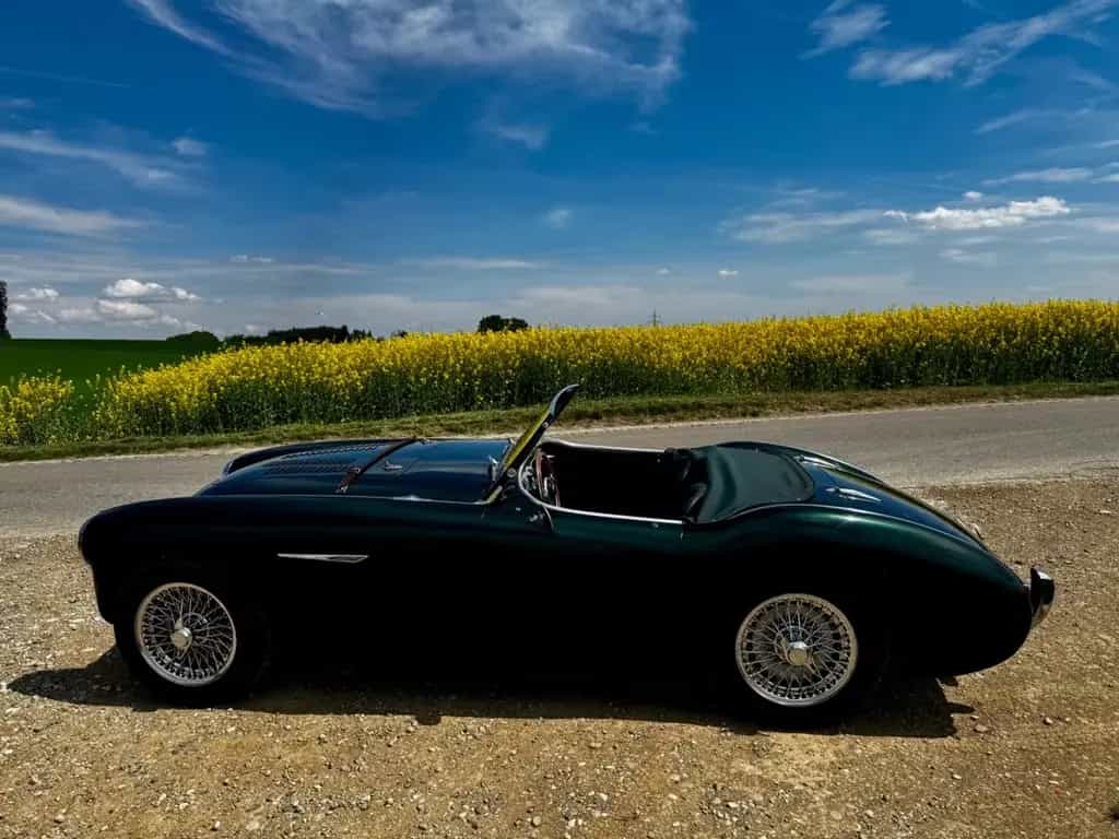 Austin Healey Other 100M - BN1 07/1953-photo-5