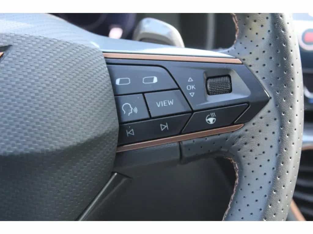 Cupra Formentor 1.5 TSI DSG NAVI LED KAMERA FULL LINK 04/2024-photo-20