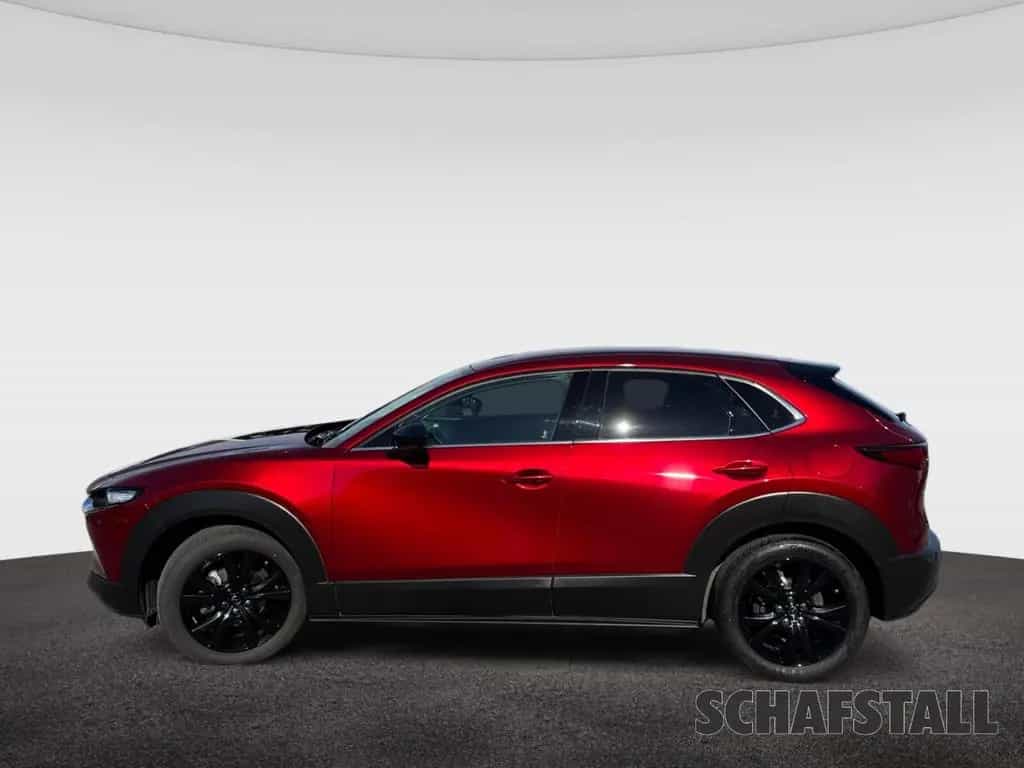 Mazda CX-30 Homura e-SKYACTIV-X 2.0 Automatik Head UP 05/2022-photo-1