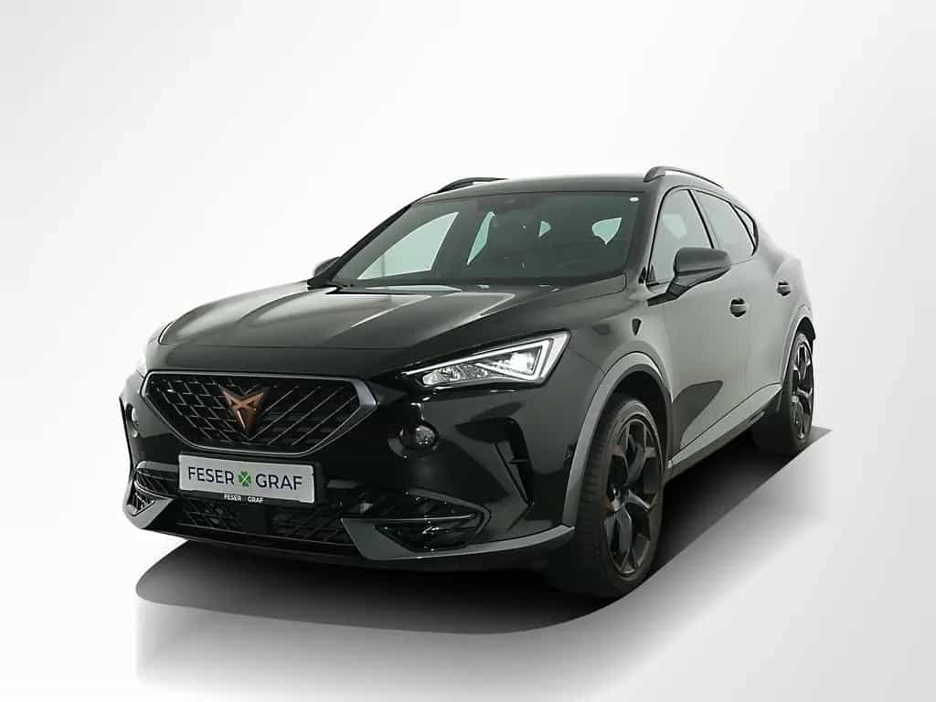 Cupra Formentor VZ 2.0 TFSI 4x4 DSG ACC Hecklappe el. 03/2024-photo-16