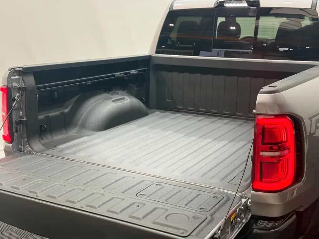 Dodge RAM 1500 RHO H/O null-photo-6