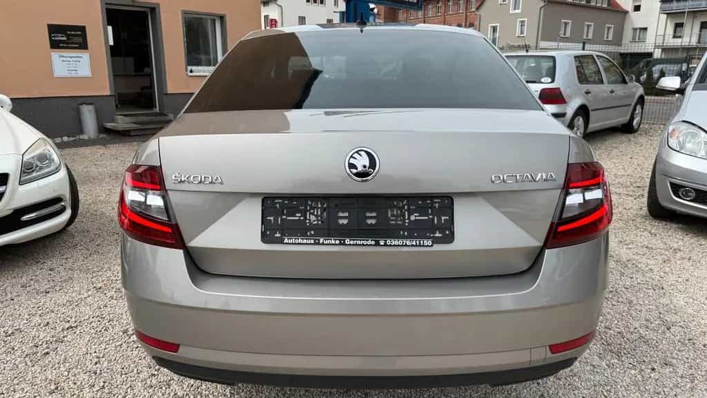 Skoda Octavia Lim. Drive 12/2017-photo-4
