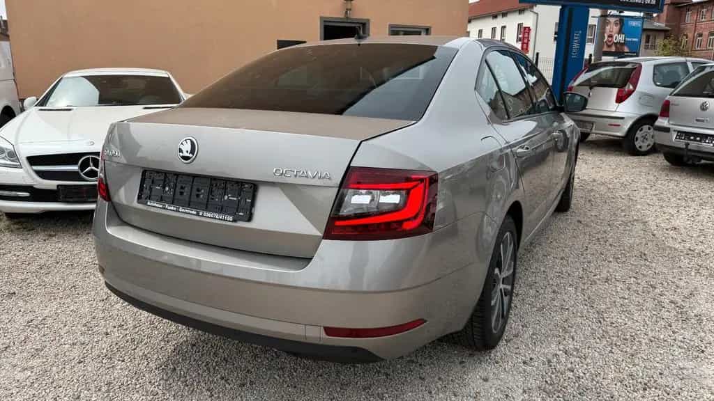 Skoda Octavia Lim. Drive 12/2017-photo-5