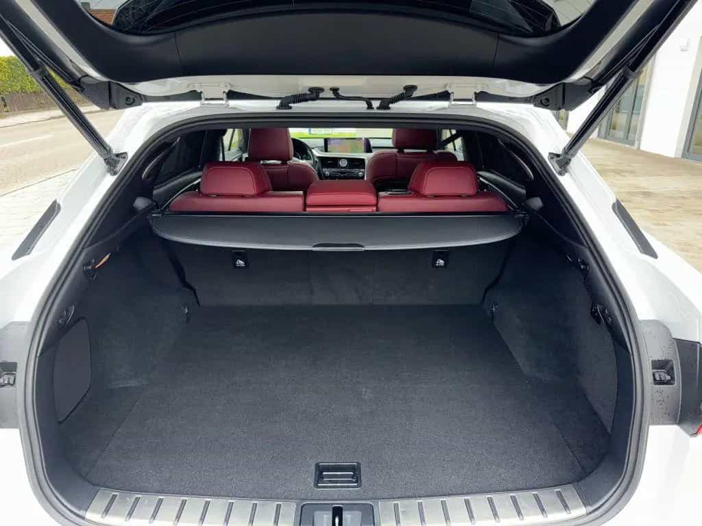 Lexus RX 300 AWD F Sport Pano,HUD,360°,MarkLev.,ACC 03/2018-photo-3