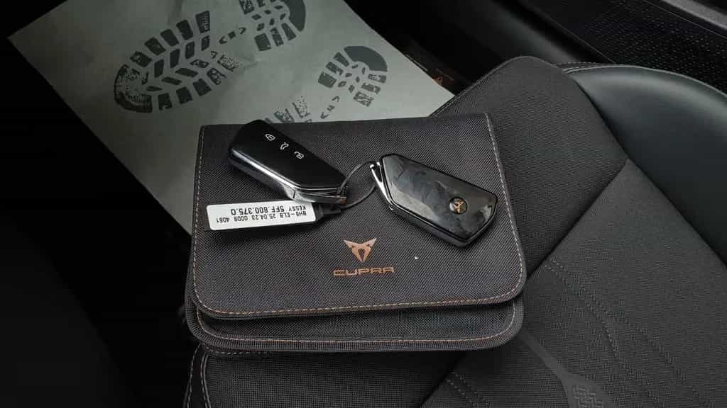 Cupra Formentor 1.5 TSI DSG Pano/Matrix/ACC/DCC/19 08/2023-photo-17