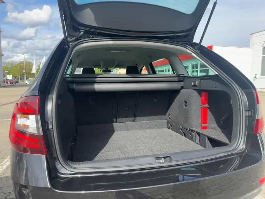 Skoda Octavia 01/2019-photo-7