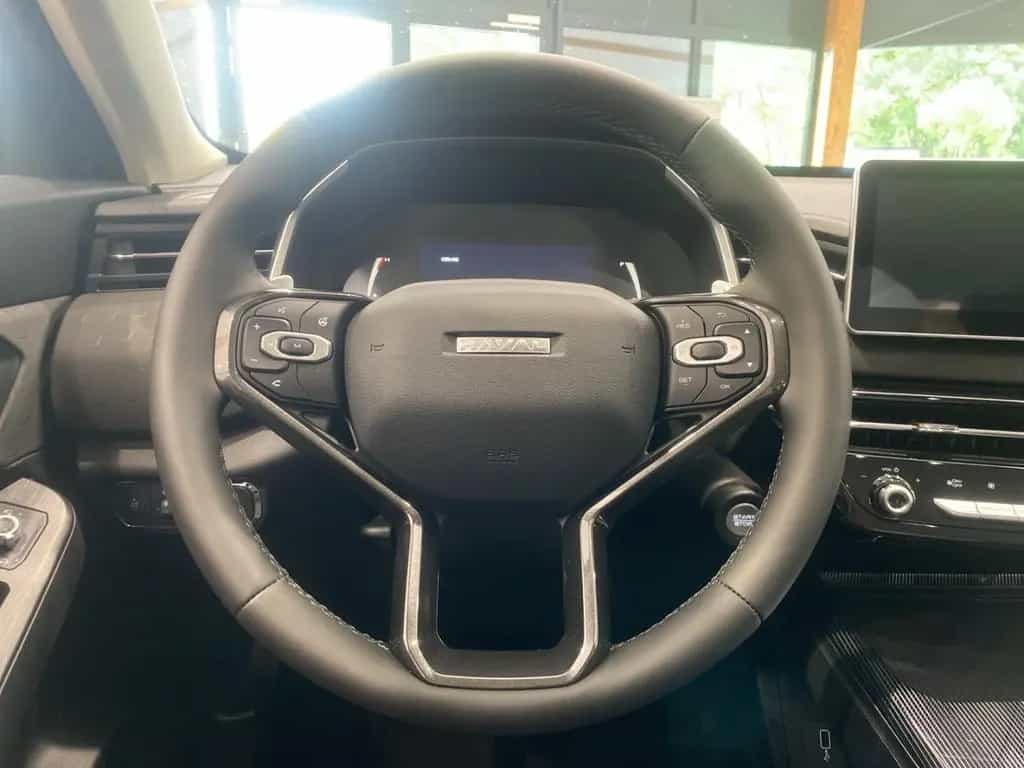 GWM HAVAL Jolion Pro PREMIUM 1.5 T-GDI Sitzheizung null-photo-11