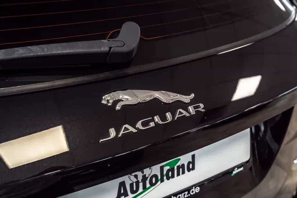 Jaguar F-Pace F-PACE R-Sport AWD 03/2017-photo-15