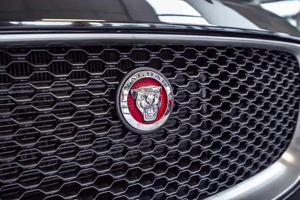 Jaguar F-Pace F-PACE R-Sport AWD 03/2017-photo-8
