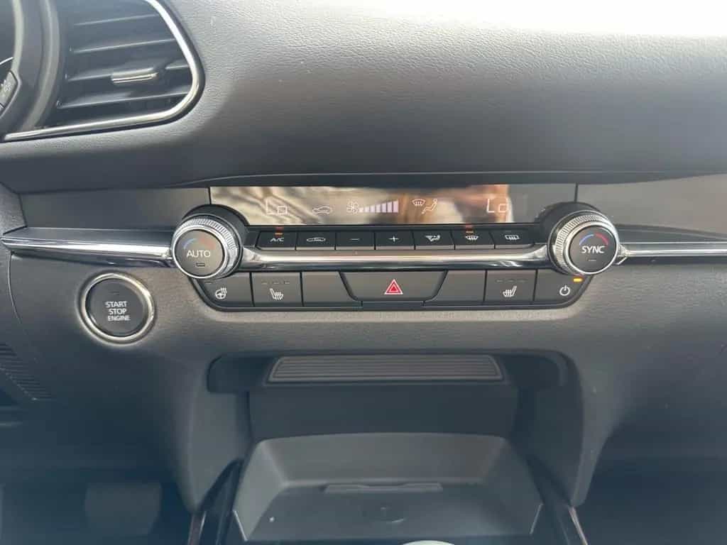 Mazda CX-30 Takumi BLOP AHK Leder LogIn 360° Matrix Le 01/2025-photo-18