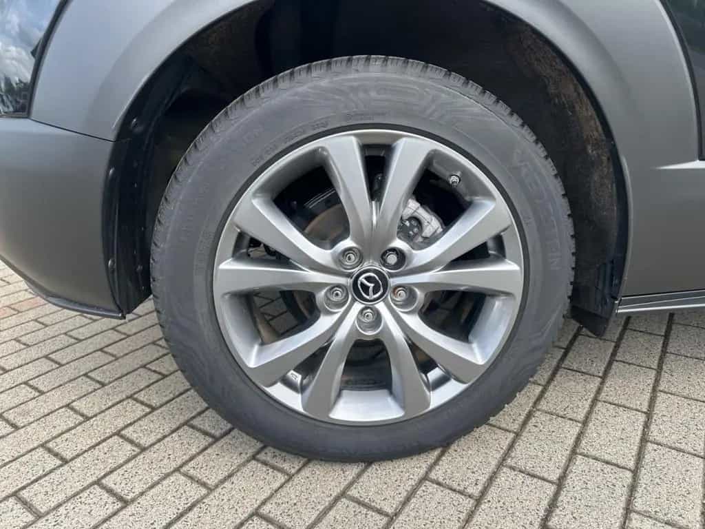 Mazda CX-30 Takumi BLOP AHK Leder LogIn 360° Matrix Le 01/2025-photo-24
