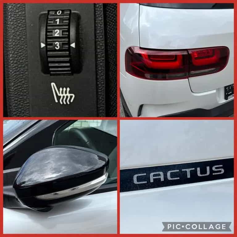 Citroën C4 Cactus 1.2 SHINE *Aut.*Navi*Sitzh.*R-Cam*Alu* 04/2019-photo-16