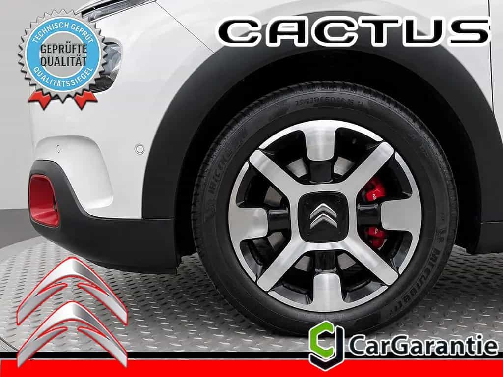 Citroën C4 Cactus 1.2 SHINE *Aut.*Navi*Sitzh.*R-Cam*Alu* 04/2019-photo-27