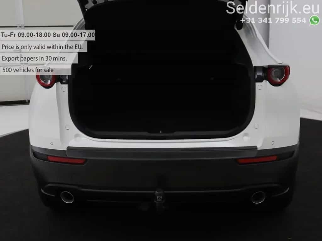 Mazda CX-30 2.0 e-SkyActiv-X M Hybrid 100th Anniversar 01/2021-photo-11
