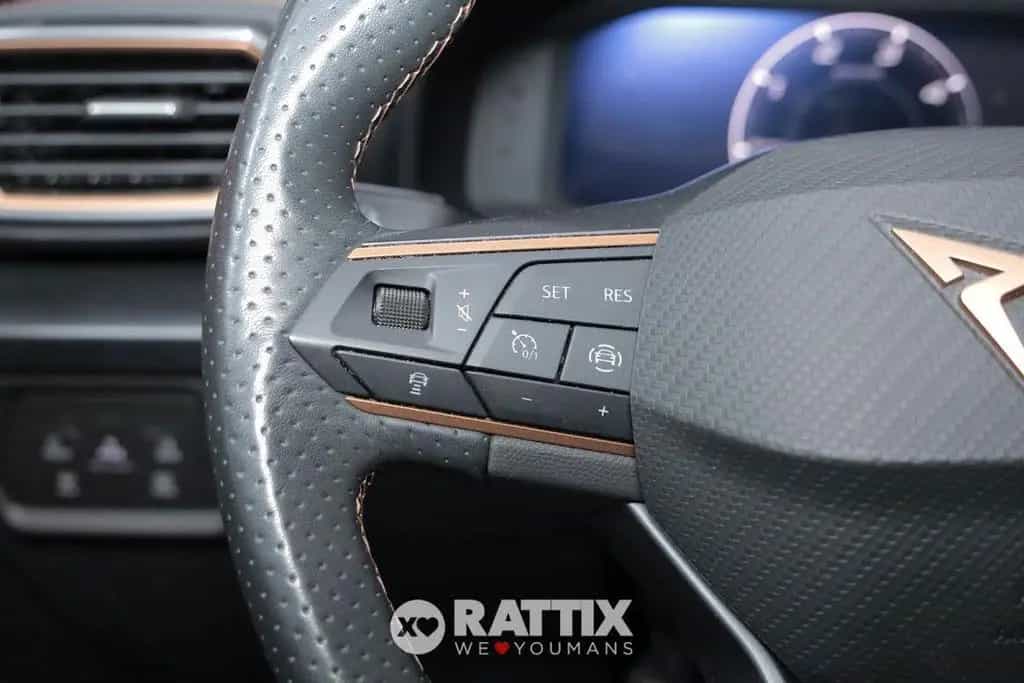 Cupra Formentor 2.0 TDI 150CV 10/2022-photo-10