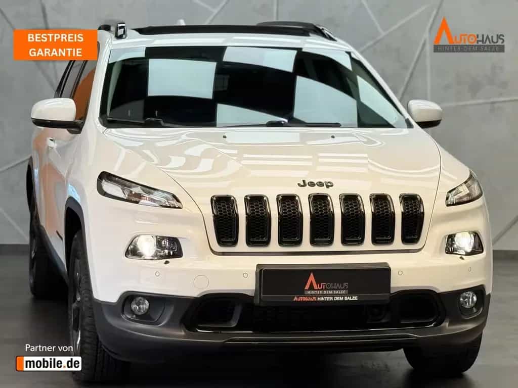 Jeep Cherokee Limited 4WD 2.2 M-Jet|MEMORY|BI-XEN|KAM 08/2018-photo-0