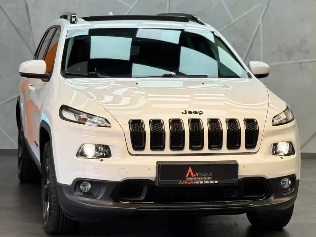 Jeep Cherokee Limited 4WD 2.2 M-Jet|MEMORY|BI-XEN|KAM 08/2018-photo-1