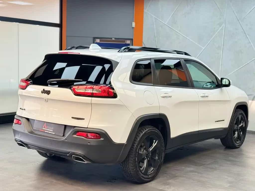 Jeep Cherokee Limited 4WD 2.2 M-Jet|MEMORY|BI-XEN|KAM 08/2018-photo-7