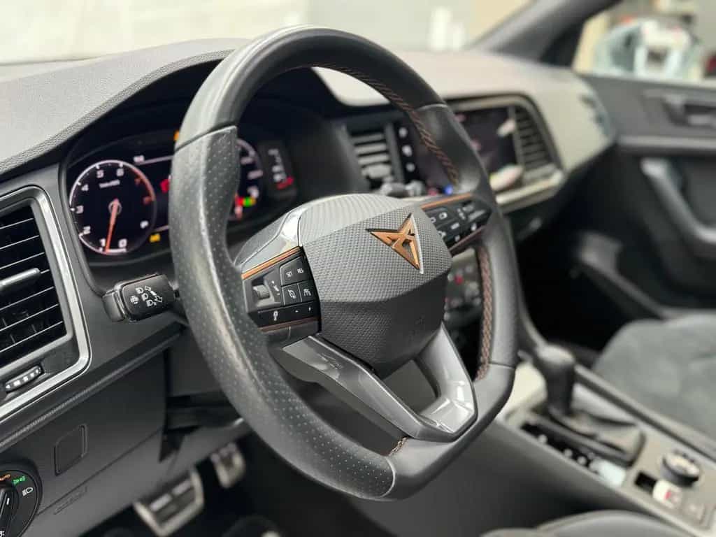 Cupra Ateca Basis 4Drive 2.0TSI|AHK|BEATS|360|LM 03/2021-photo-11