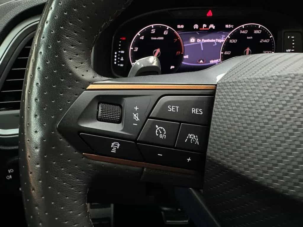 Cupra Ateca Basis 4Drive 2.0TSI|AHK|BEATS|360|LM 03/2021-photo-30