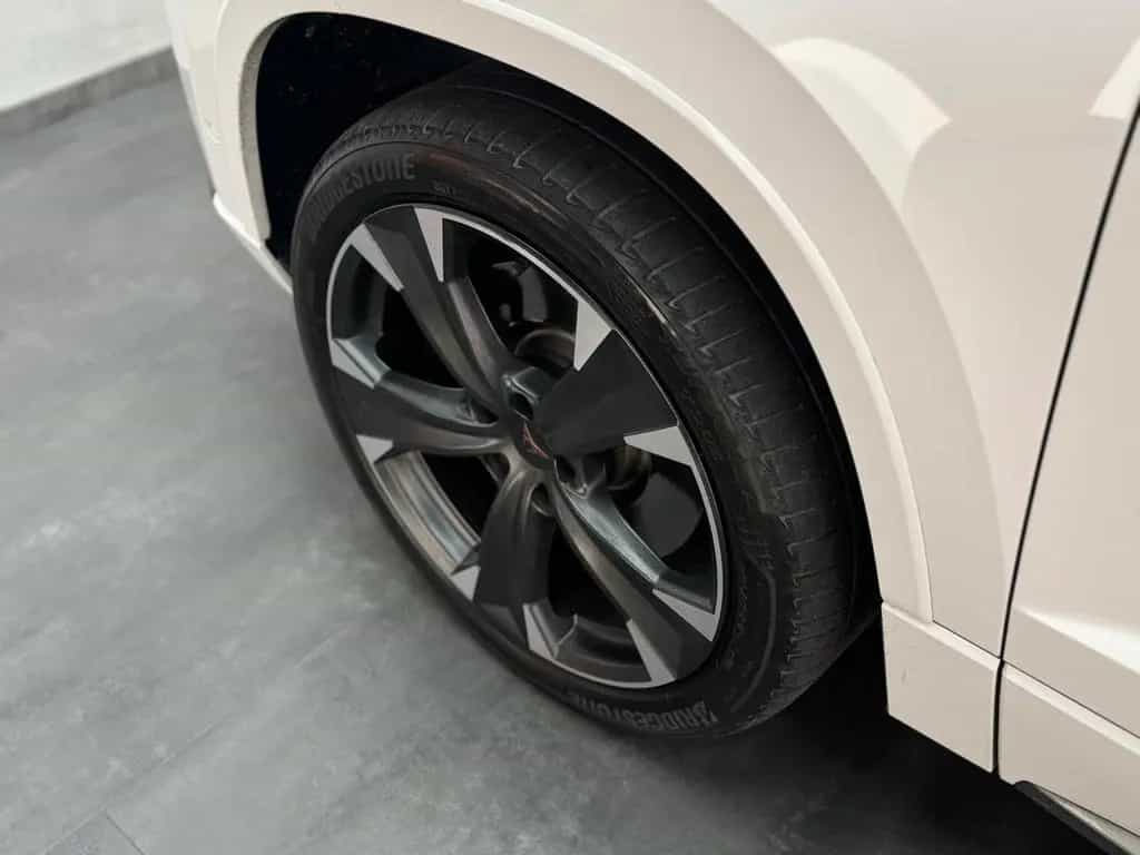 Cupra Ateca Basis 4Drive 2.0TSI|AHK|BEATS|360|LM 03/2021-photo-32